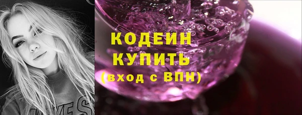 молекула духа Ельня