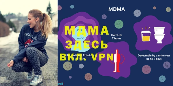 молекула духа Ельня