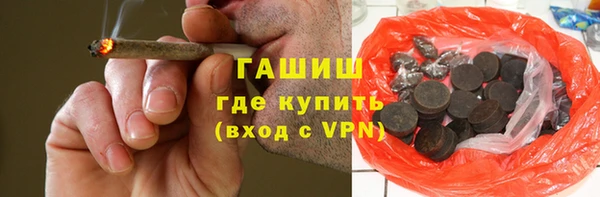 молекула духа Ельня