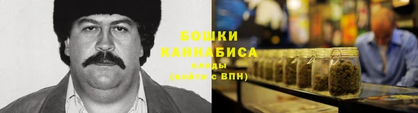 молекула духа Ельня